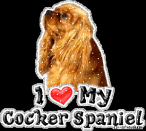 All Graphics » cocker spaniel