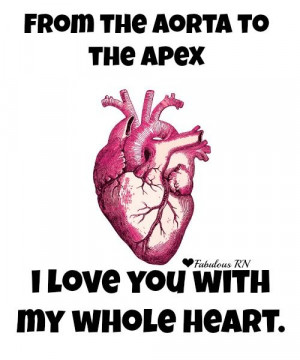 to the apex, I love you with my whole heart. Nurse humor. Nursing ...