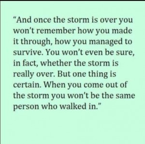 Positive Quotes About Storms. QuotesGram