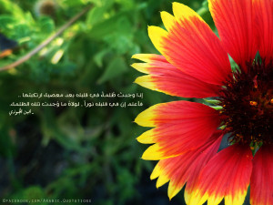 ibn-al-jawzi-quote-darkness-in-your-heart-on-flower.jpg