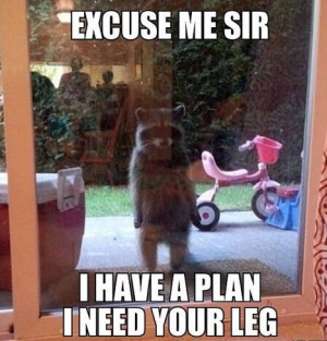 Excuse me sir, I have a plan and I need your leg.