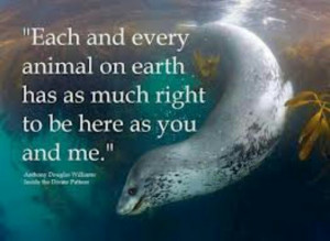 Each and every animal
