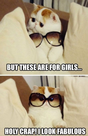 But these are for girls... Holy crap! I look fabulous. Cat in ...