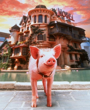 ... rights reserved titles babe pig in the city babe pig in the city 1998