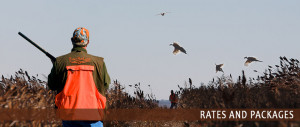 Traditional Hunt Corporate Hunts Field Reports Packages Plan Your Hunt