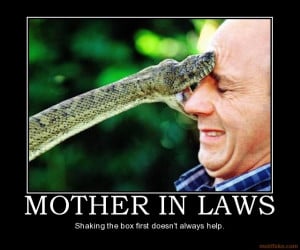 safety risk mother-in-law year future son-in-law interfere ...