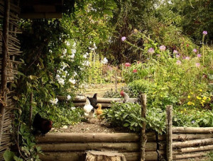 When the world wearies and society fails to satisfy, there is always ...