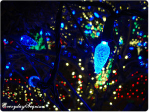 The sparkle and the shine...