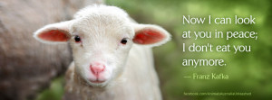 Animal Activist Quotes