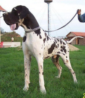 Funny Quotes Contact Us DMCA Notice