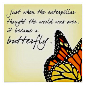 Butterfly Life Struggle Inspirational Quotes Poster
