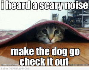 ... funny cat quotes cat quotes cute cat sayings free funny cat