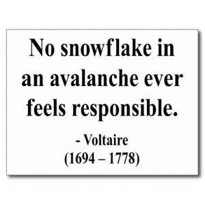 Voltaire Quote 6a Post Cards
