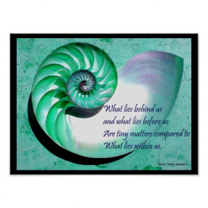 A01 Nautilus Shell Poster with Inspirational Quote