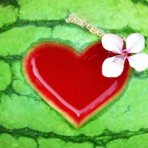 Watermelon-Love-Facebook-Cover.jpg