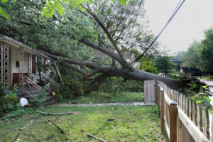 articles.washingtonpos...