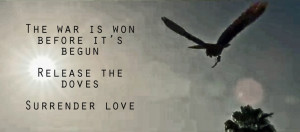 One of my favorite lyrics of theirs. Fall Out Boy - The Phoenix