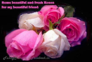 ... Every Flower can not express love But rose do it. ``happy rose day