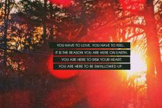 ... quotes swallows manipulation quotes wisdom you are here inspiration