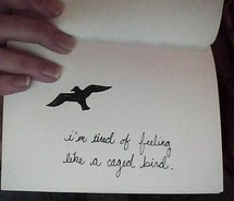 Bird Cage Tattoo Quotes Cages Picture