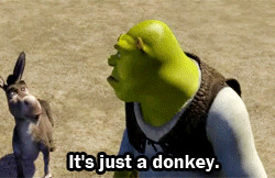 Shrek - Shrek + Donkey [6/7]