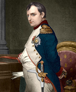 Napoleons kwaliteiten en fouten