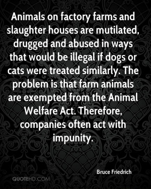 Animals on factory farms and slaughter houses are mutilated, drugged ...
