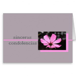 Condolences Images In Spanish Pink cosmos spanish sympathy