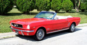 Click image for larger versionName:stang3[1].jpgViews:25912Size:202.1 ...