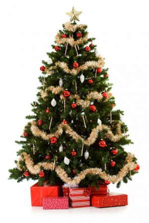 christmas tree is an old tradition which is associated with christmas ...