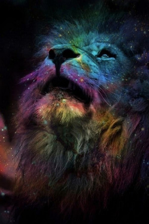 galaxy, lion, lions, rainbow, roar