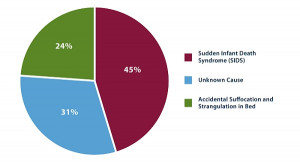 Cdc Data And Statistics Reproductive Health