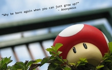 Home Games Mario anonymous mario quotes mushrooms Games M...