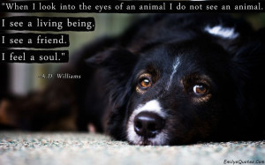 When I look into the eyes of an animal I do not see an animal. I see a ...