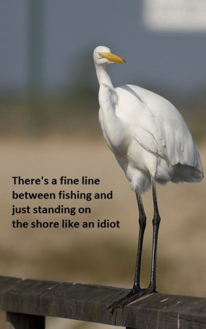 Steven wright, quotes, sayings, bird, funny, humorous