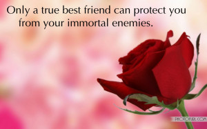 Red Rose Friendship Day Wallpapers