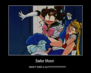 Sailor Moon Demotivational