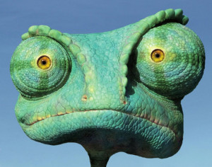 Funny moments aside, Rango an adventure story. A pretty fantastic ...