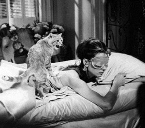 cat holly golightly s cat in breakfast at tiffany s 1961