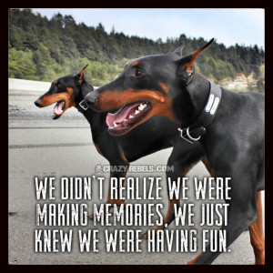 ... , we just knew we were having fun. #crazyrebels #dobermans #quotes