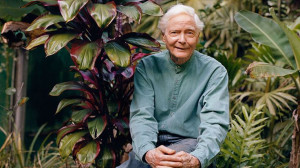 Poet Laureate W.S. Merwin on His Connection to Nature