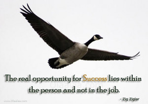 Quotes About Opportunity and Success