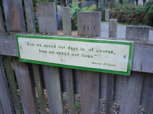 Another cottage quote.