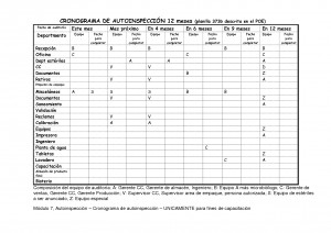 Self Inspection Schedule picture