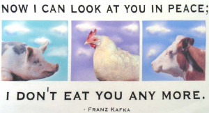 Love And Peace Quotes. love and peace quotes