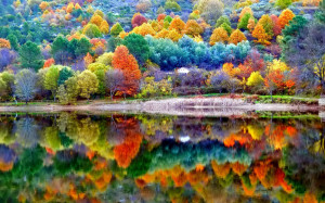 Beautiful autumn scenery wallpaper
