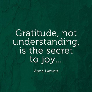 Gratitude, not understanding, is the secret to joy... — Anne Lamott