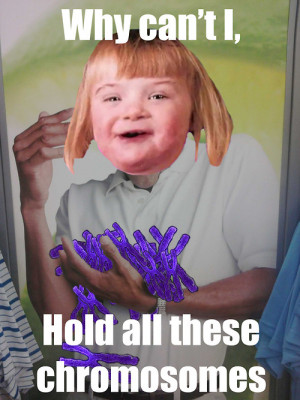 Down Syndrome Meme