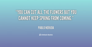 Pablo Neruda Quotes En Espanol Picture