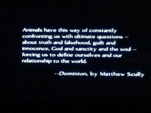 ... confronting us with ultimate questions... Dominion, by Matthew Scully